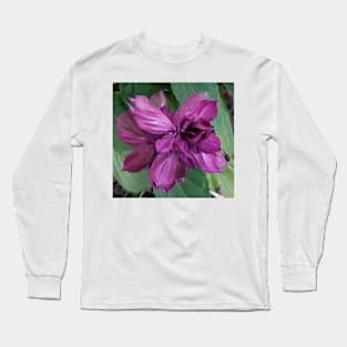 Close up of a purple flower Long Sleeve T-Shirt